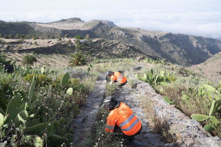 251224-trabajos-de-mejora-paisajistica-y-medioambiental-en-la-gomera (1)