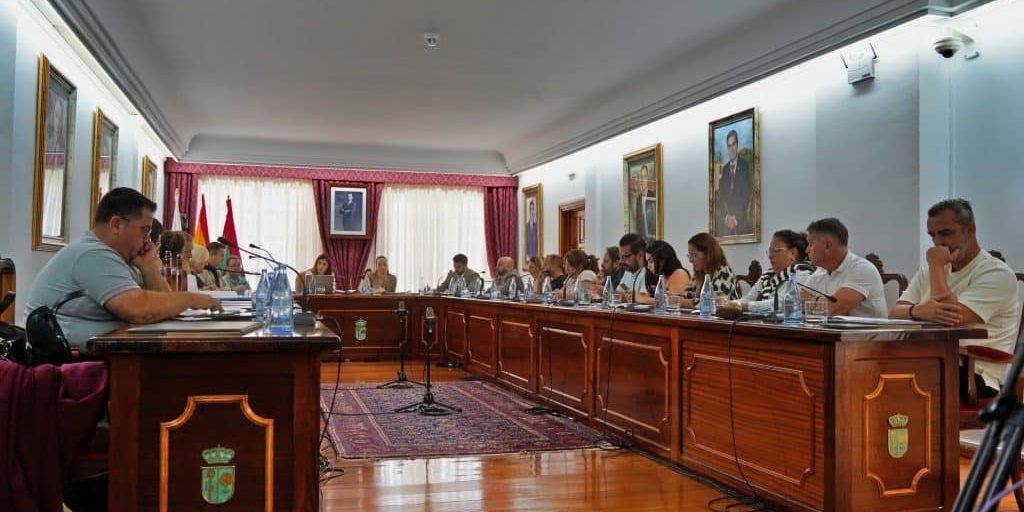 AYUNTAMIENTO DE ARONA-CONDENA AL VANDALISMO 5-12-24