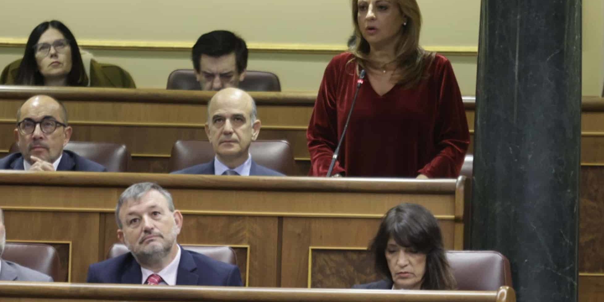 CV pleno Congreso 181224