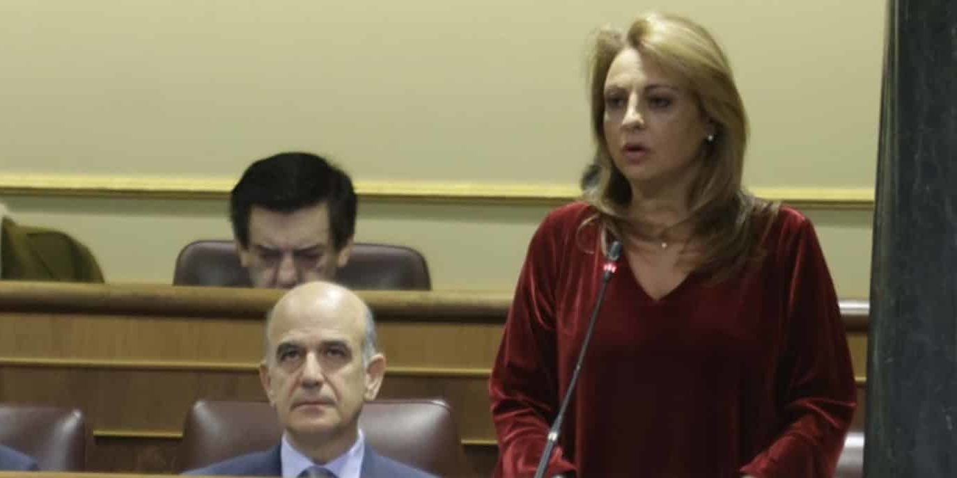CV pleno Congreso 181224
