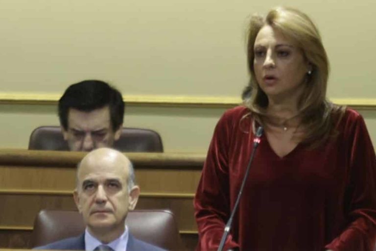 CV pleno Congreso 181224
