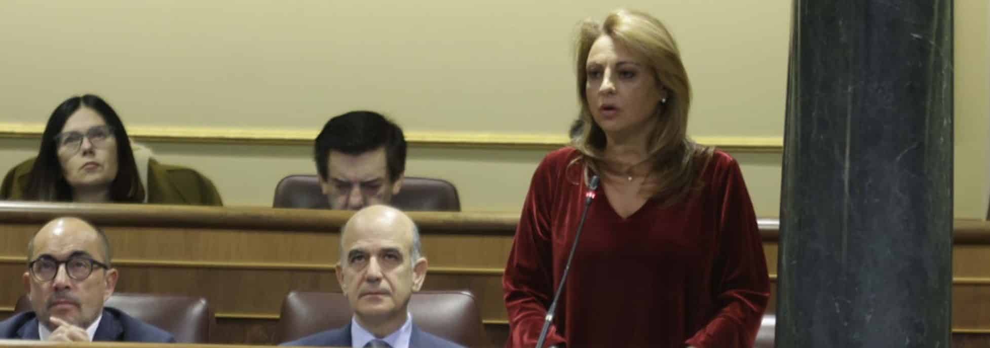 CV pleno Congreso 181224
