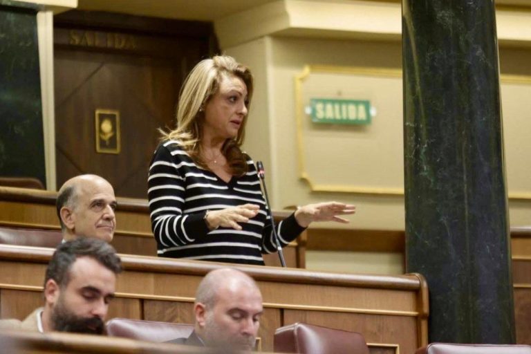 Cristina Valido pleno Congreso 111224