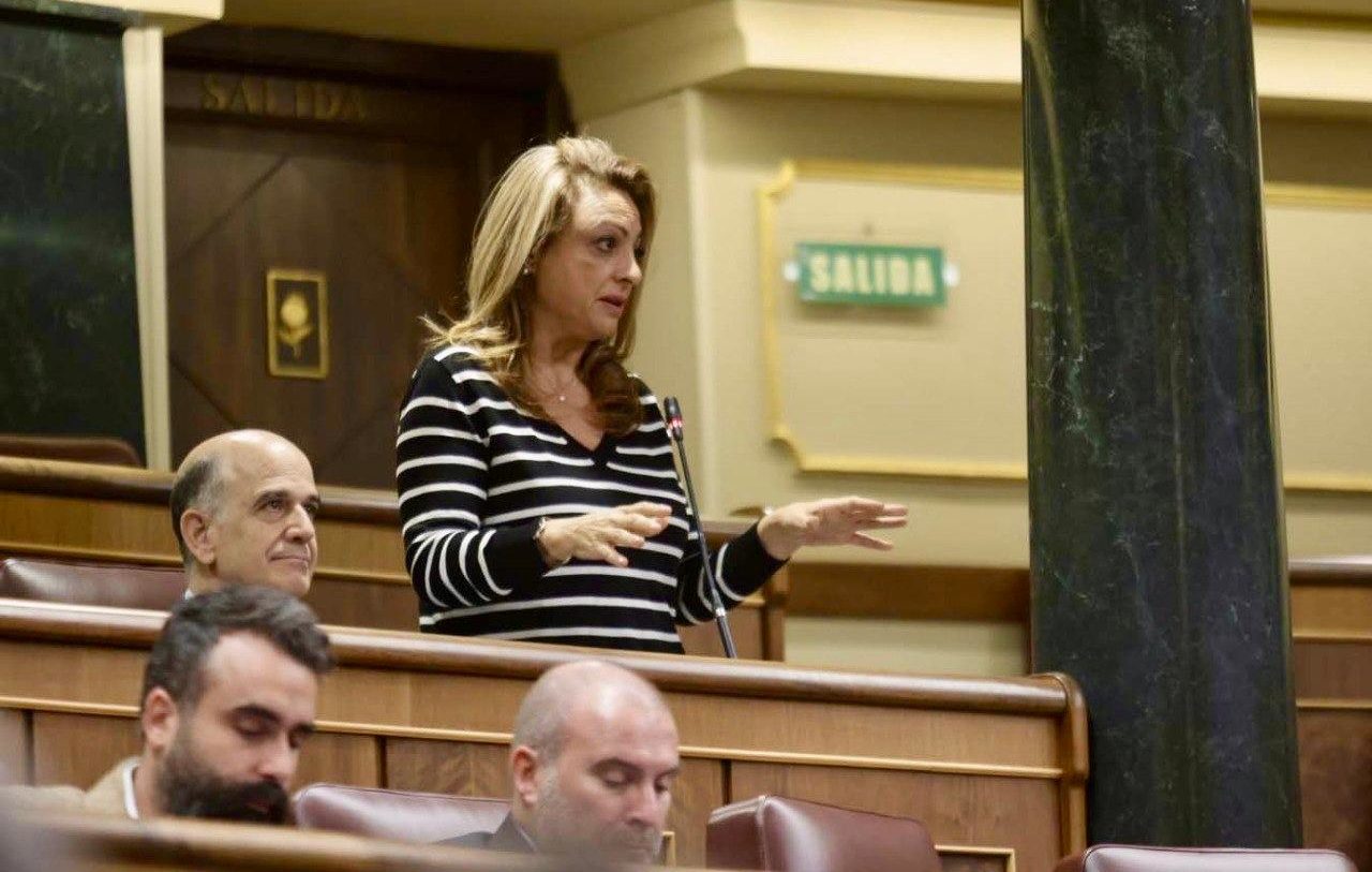 Cristina Valido pleno Congreso 111224