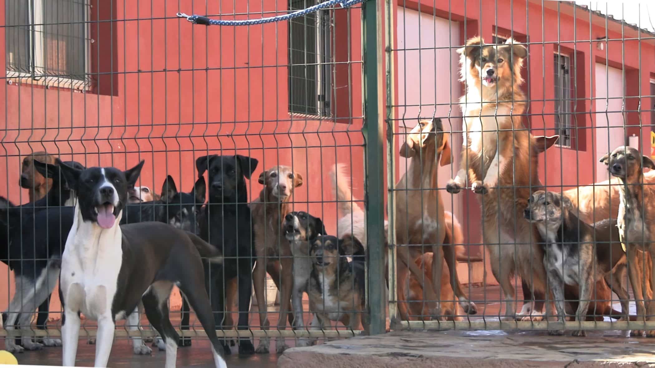 IMG-20241219-WA0025