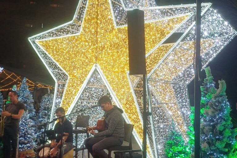 MERCADO NAVIDEÑO 02 (1)