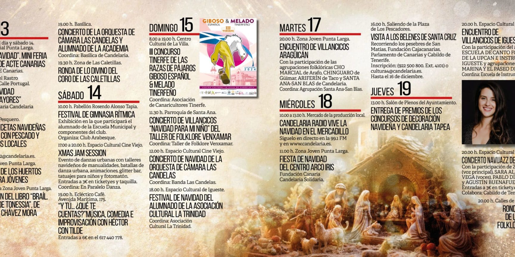 Navidad 20247
