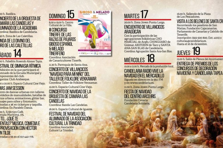 Navidad 20247