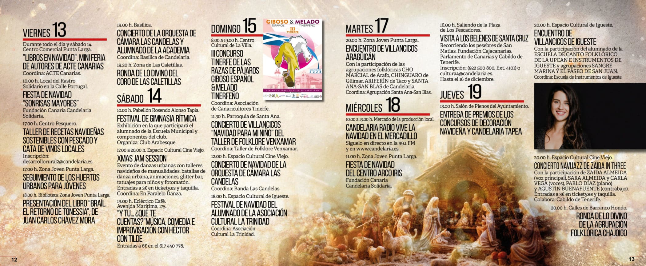 Navidad 20247