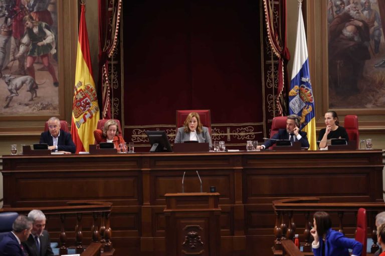 PLENO DEL PARLAMENTO2 17-12-24
