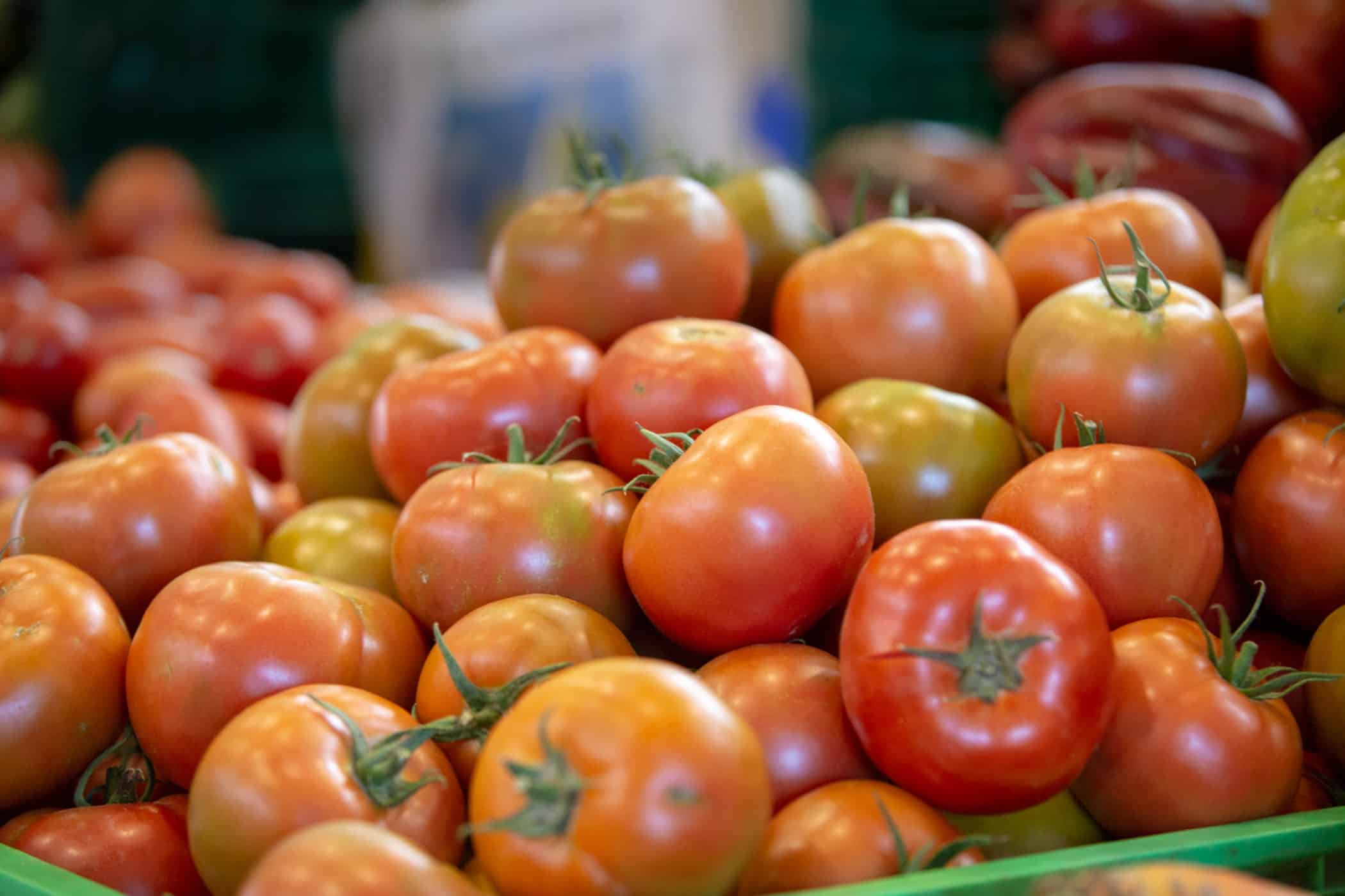 agromercado de adeje1