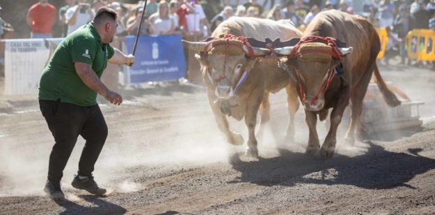 05_ CONCURSO ARRASTRE DE GANADO 2025