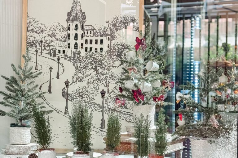 250102 Ruta de Escaparates de Navidad