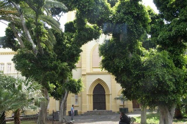250127 Parque Viera y Clavijo (1)