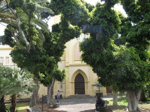 250127 Parque Viera y Clavijo (1)