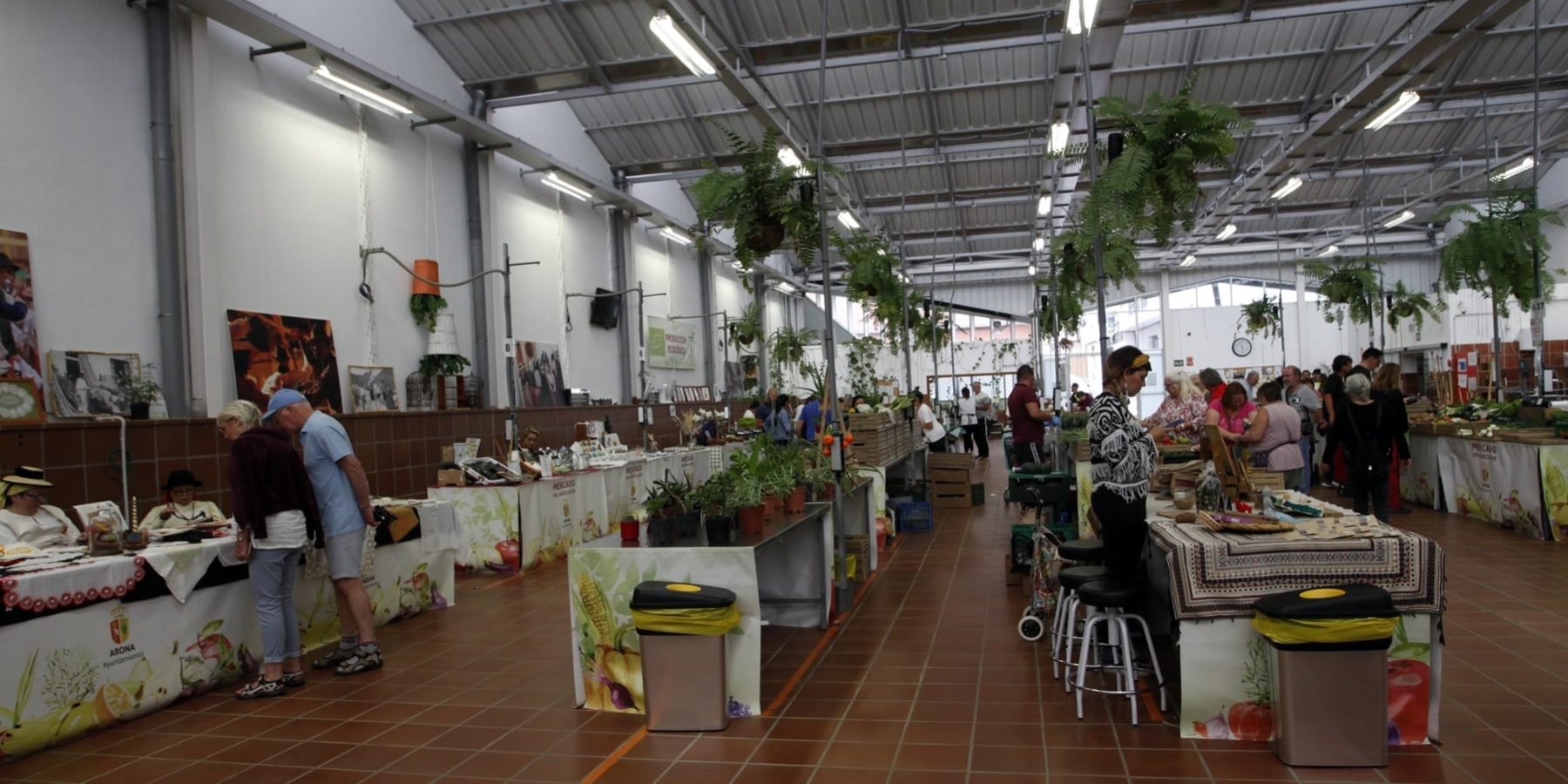 Arona Mercado 1