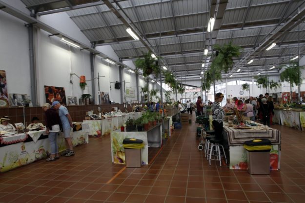 Arona Mercado 1