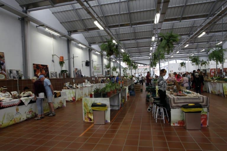 Arona Mercado 1
