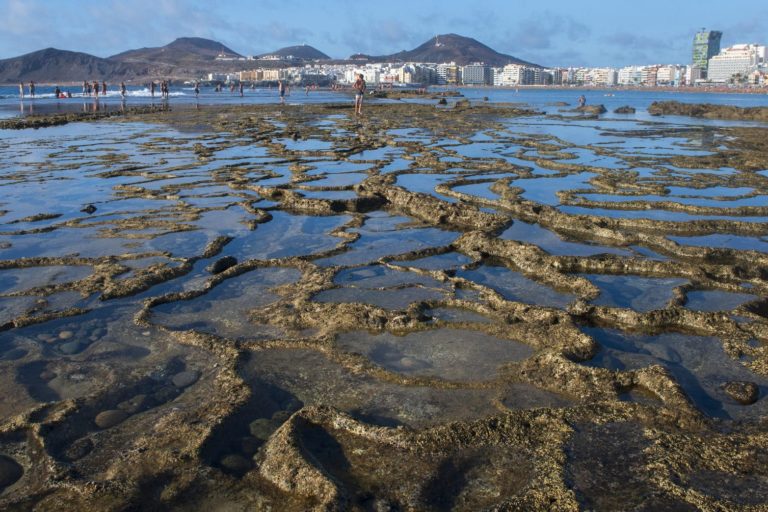 Bahía de Las Canteras desde La Barra Foto Nacho González LPGC