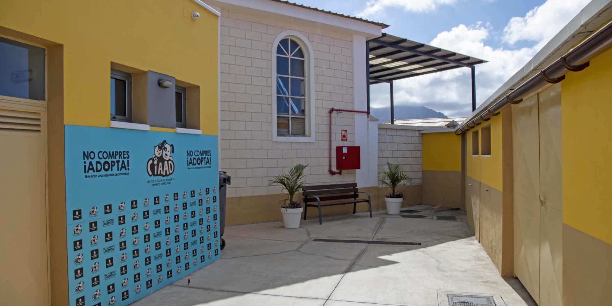 CENTRO DE ACOGIDA DE ANIMALES DOMÉSTICOS ADEJE