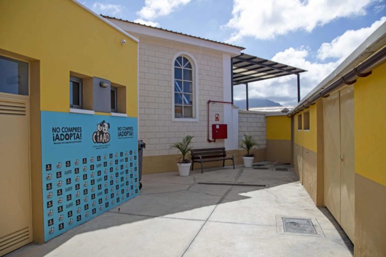 CENTRO DE ACOGIDA DE ANIMALES DOMÉSTICOS ADEJE