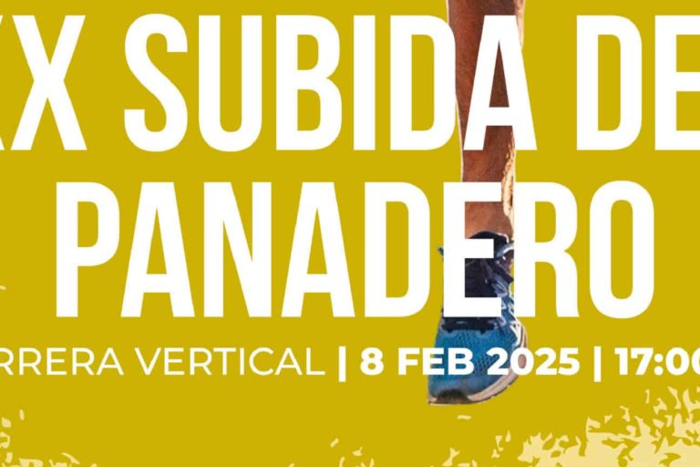 Cartel XX edición Carrera Vertical Subida del Panadero