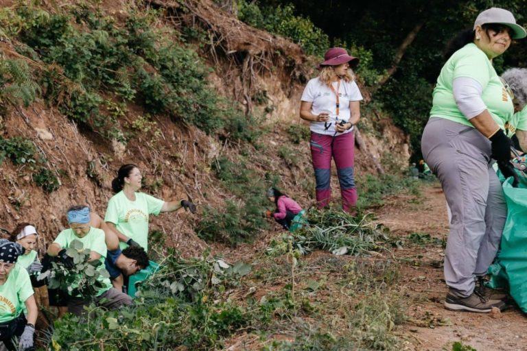 Medio Natural-Voluntariado Ambiental-Erradicación flora exótica Tacoronte