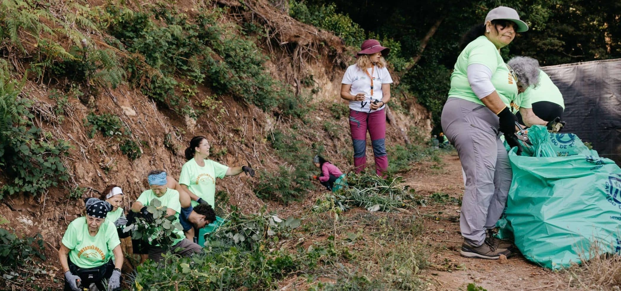 Medio Natural-Voluntariado Ambiental-Erradicación flora exótica Tacoronte