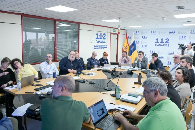 PEVOLCA-ANÓMALA ACTIVIDAD DE EL TEIDE 31-1-25