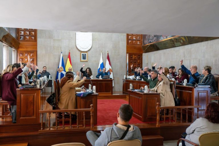 Pleno ordinario 30-01-25