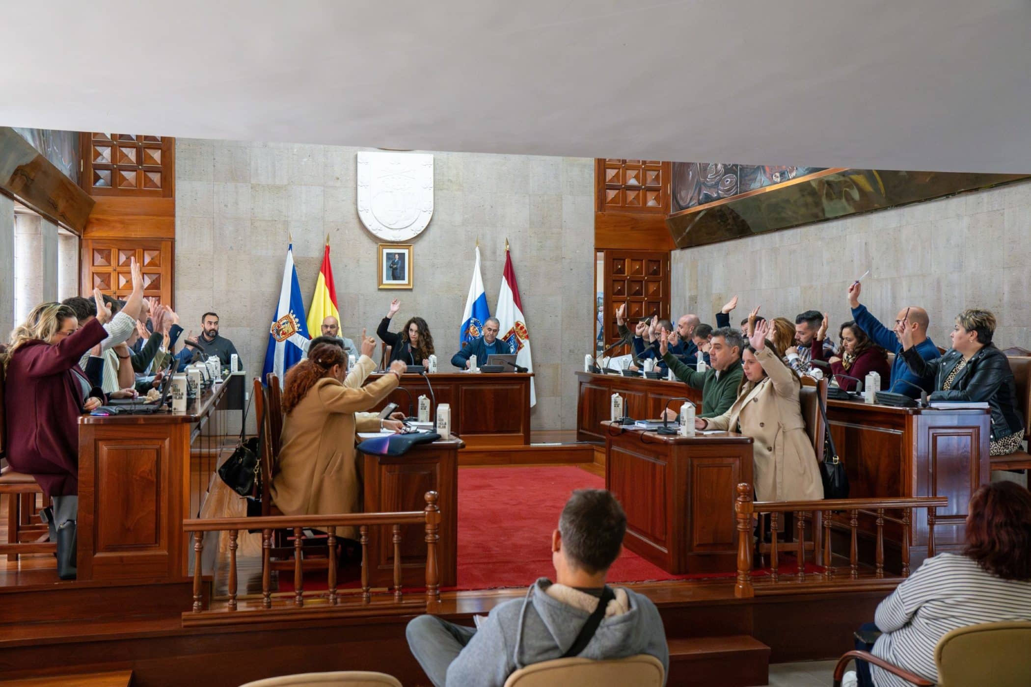 Pleno ordinario 30-01-25