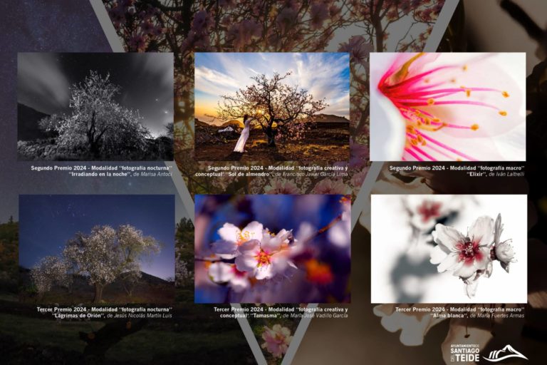 Premios concurso almendro en flor 2024