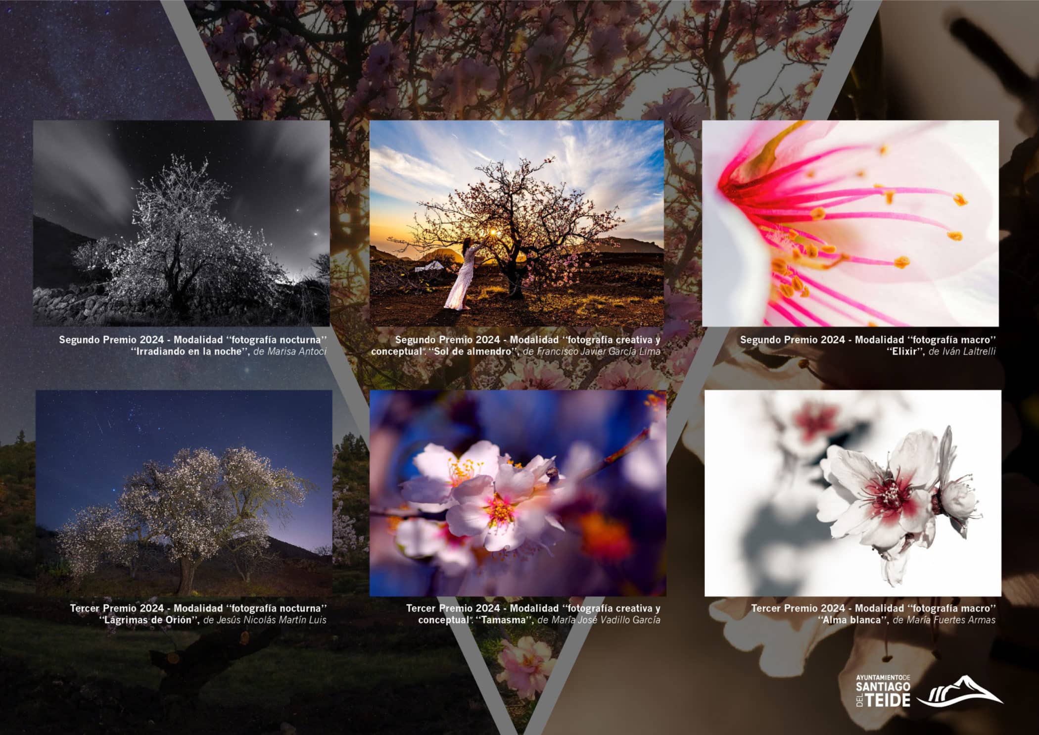 Premios concurso almendro en flor 2024