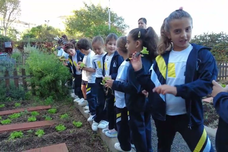 escolares en huerto ecológico