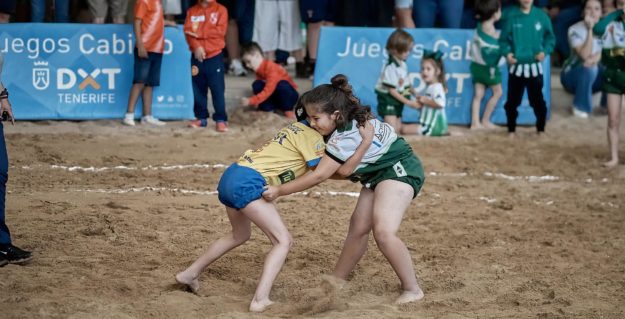 lucha canaria