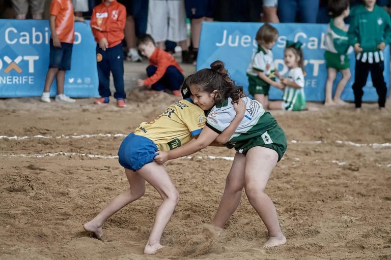 lucha canaria