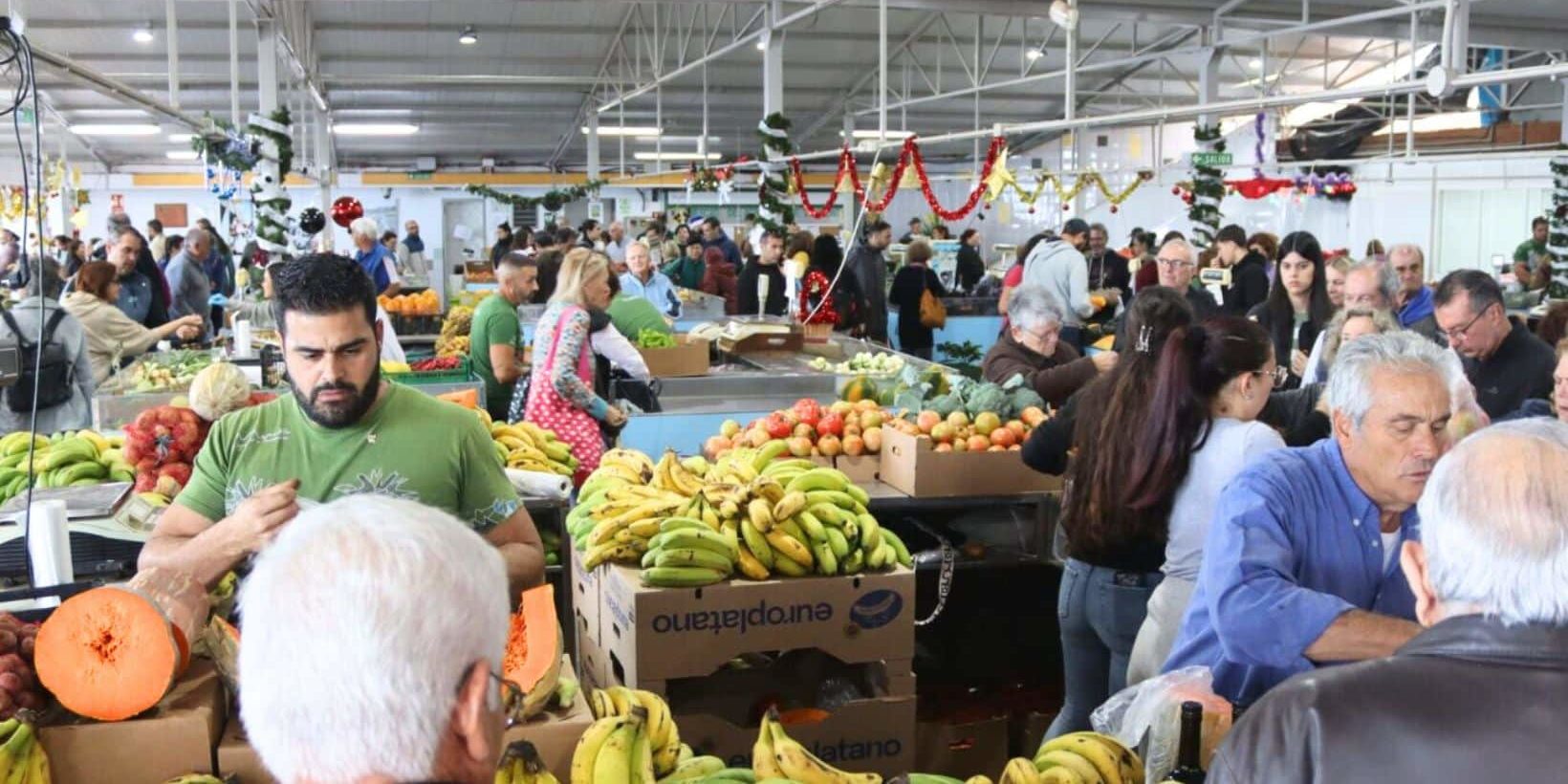 03_ MERCADILLO DEL AGRICULTOR DE TACORONTE RECURSO