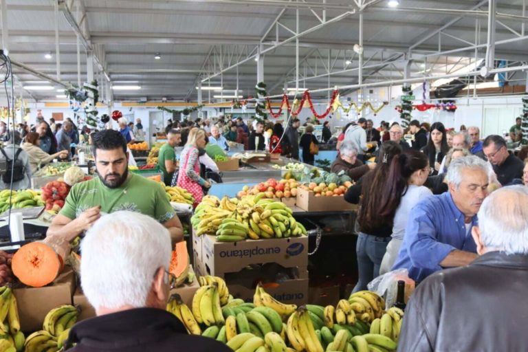 03_ MERCADILLO DEL AGRICULTOR DE TACORONTE RECURSO