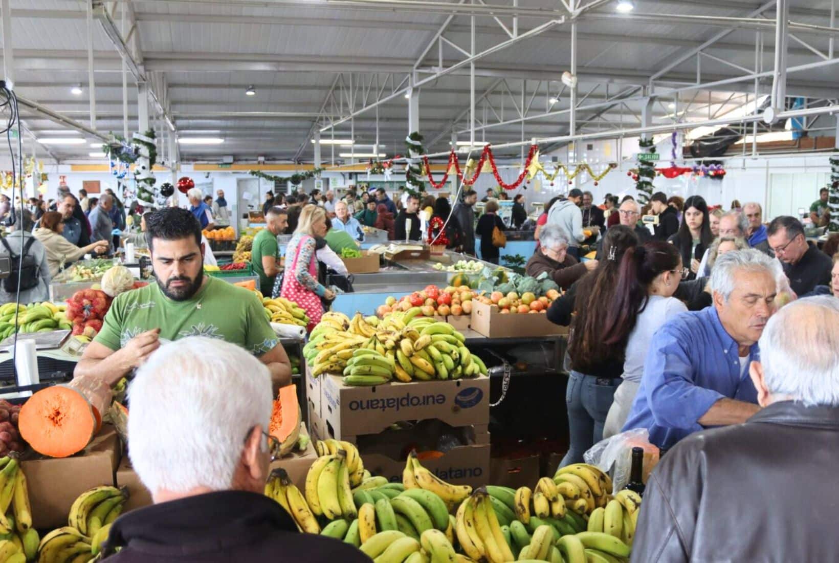 03_ MERCADILLO DEL AGRICULTOR DE TACORONTE RECURSO