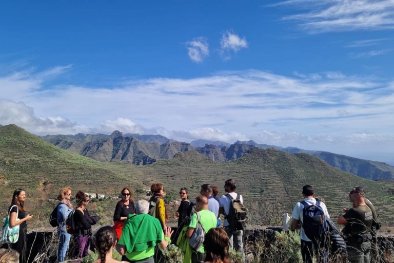 250211 Taller Parque de Las Mesas (2)
