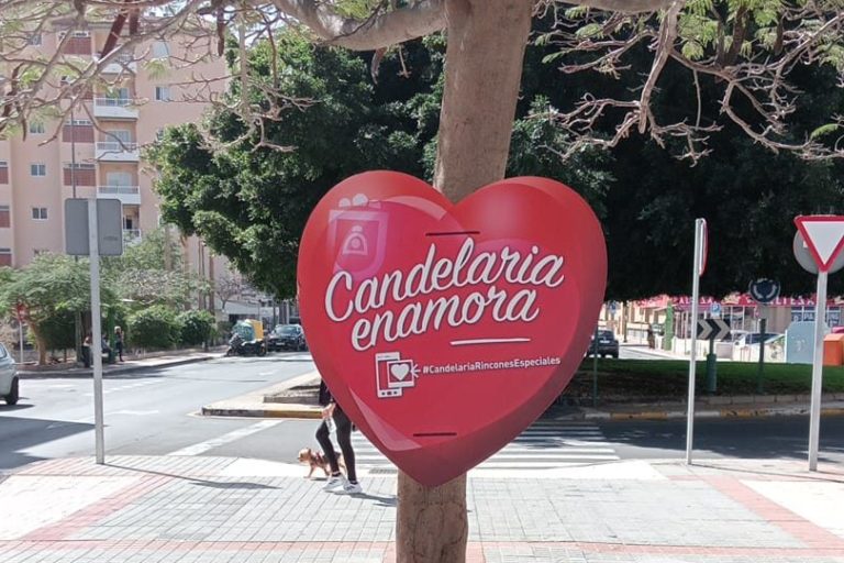 Candelaria Enamora 25 (2)