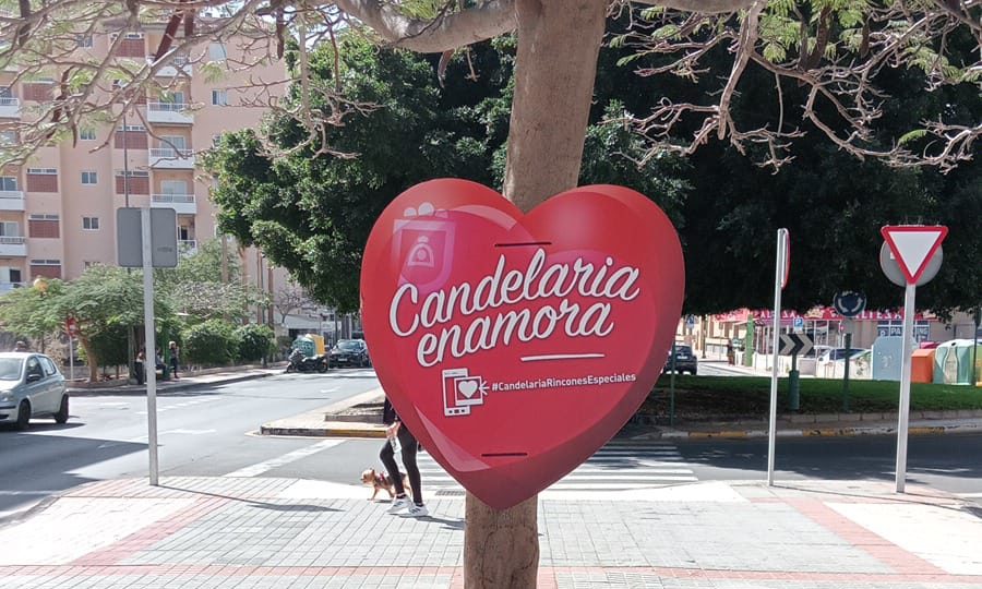 Candelaria Enamora 25 (2)