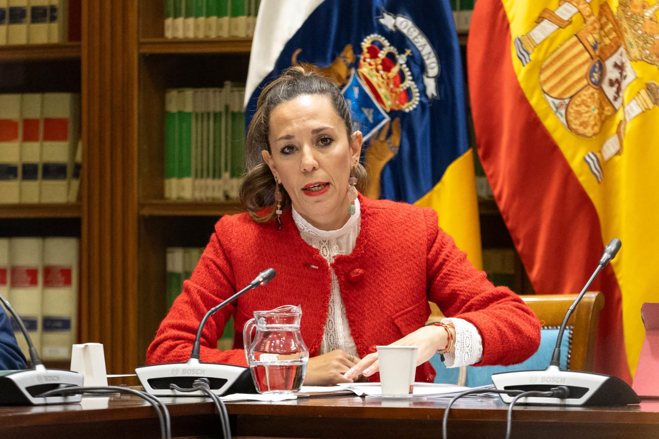 Comisión Turismo -22