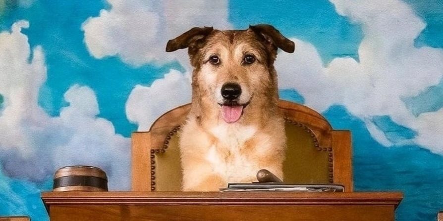 El juicio del perro
