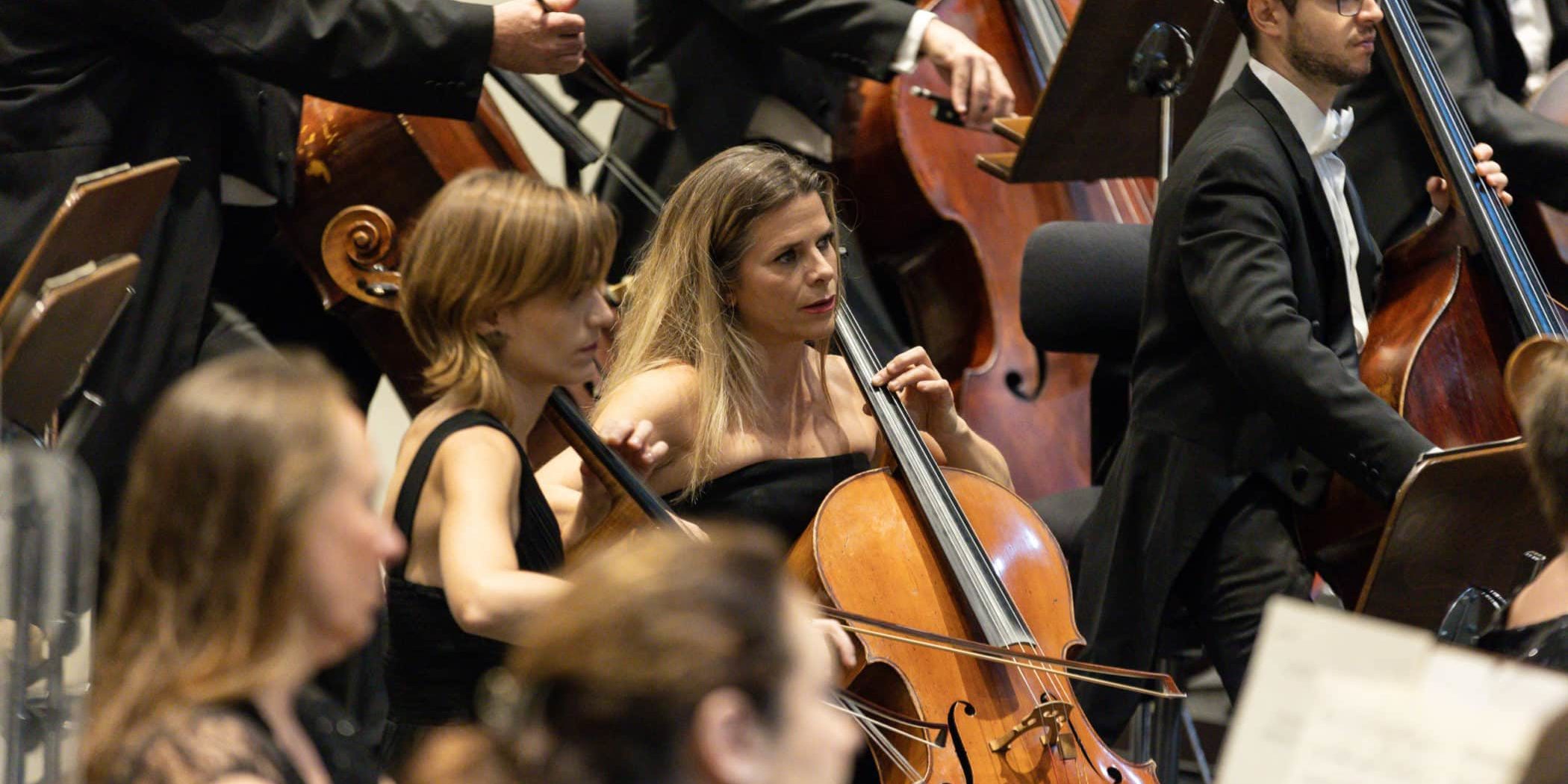 Orquesta Sinfónica de Tenerife (15)