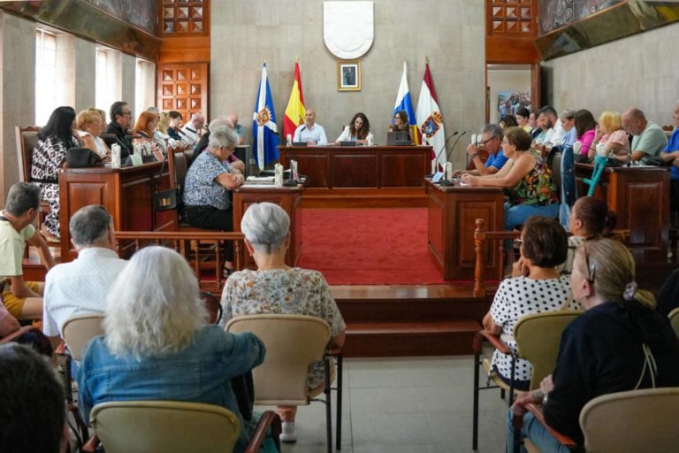 Pleno del Mayor