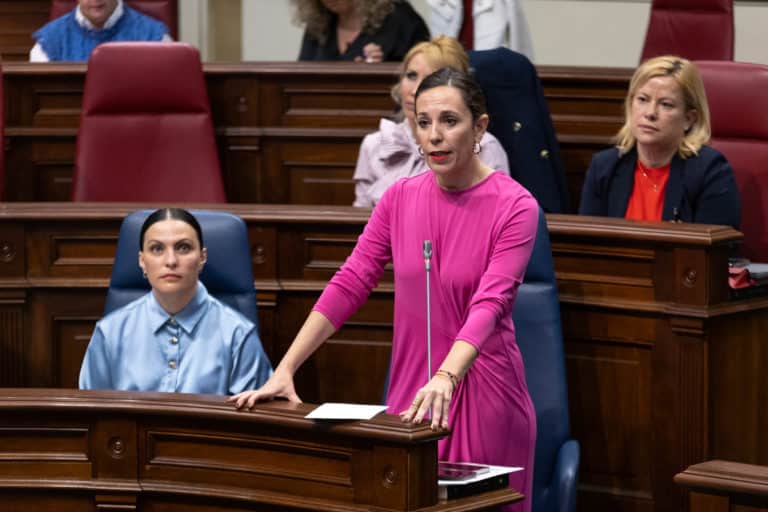 Pleno del Parlamento de Canarias -50