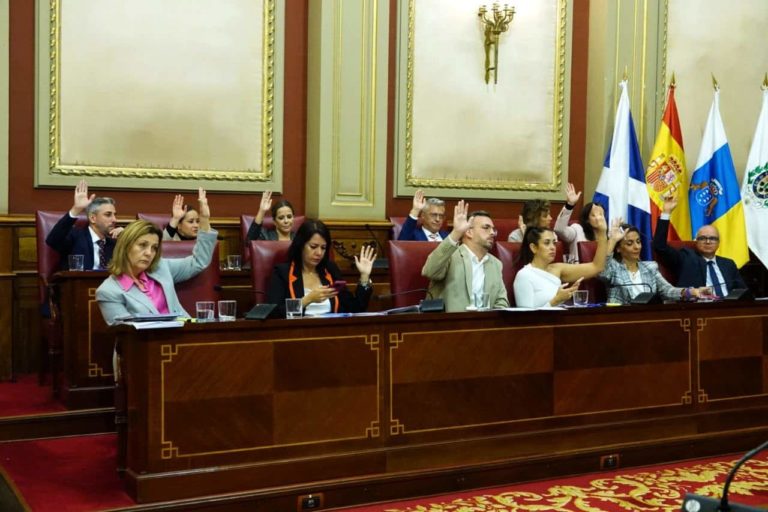 250228 Pleno febrero 2025