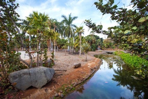 250309 Palmetum (1)