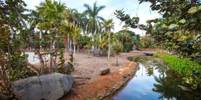 250309 Palmetum (1)
